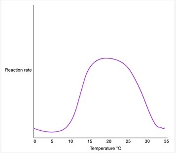 The graph above shows the progress of an enzyme-catalyzed chemical reaction. Based-example-1