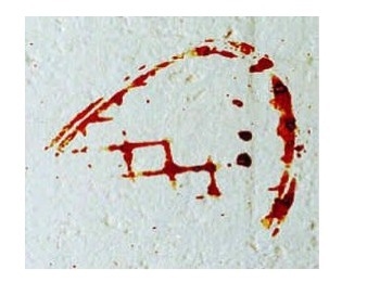 The above picture is of a shoeprint with blood on it. What type of contact bloodstain-example-1