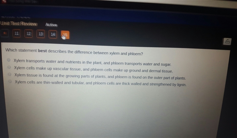 Which statement best describes the difference between xylem and phylum-example-1