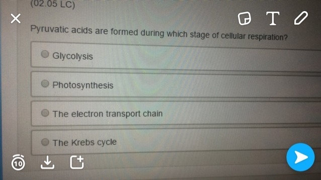 I have no clue how to do this just trying to hurry up and get a grade-example-1