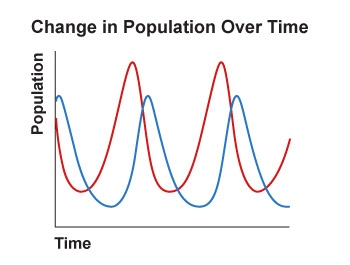 Which relationship is shown in the graph? competitive exclusion relationship habitat-example-1