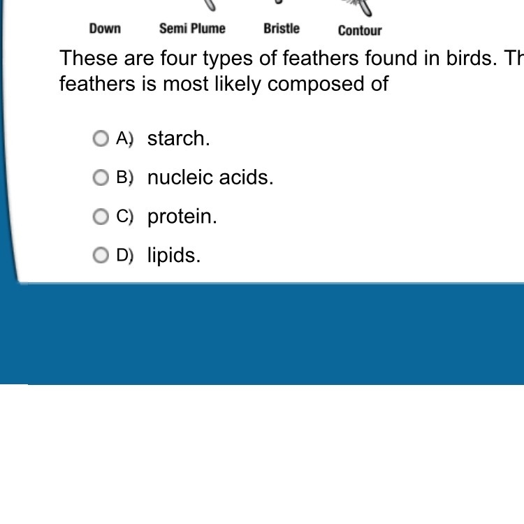 These are four types of feathers found in birds. The structure of these feathers is-example-1