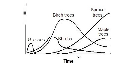 "The time shown in the graph is most likely measured in (1)days (2)weeks (3)months-example-1