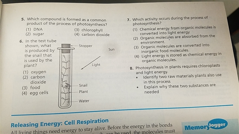 I need help with this-example-1