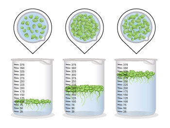 Sophia is testing an effect of different volumes of water on the growth of duckweed-example-1