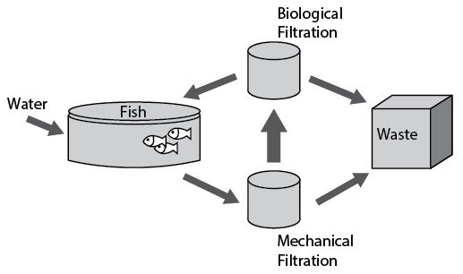 Various methods of aquaculture can be used to grow species of marine fish. Consider-example-1