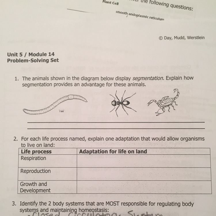 Can someone help me ASAP with these questions?!?!? I DO NOT UNDERSTAND!!!!!!!!!!-example-1