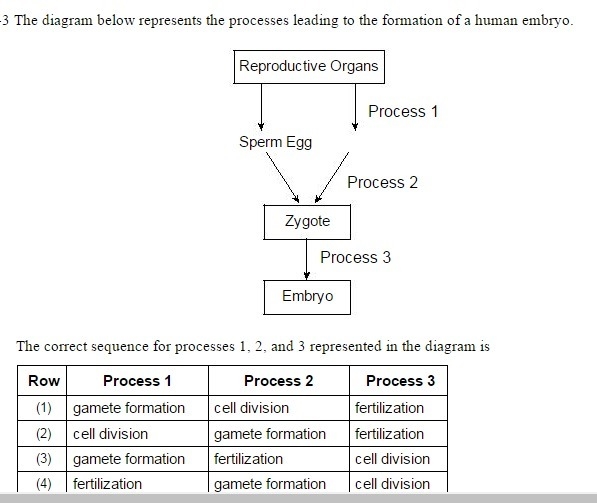 The correct sequence for processes 1, 2, and 3 represented in the diagram is-example-1