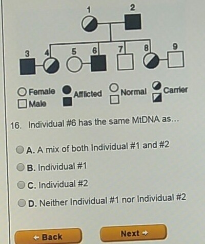 Individual 6 had the same MtDNA as...-example-1