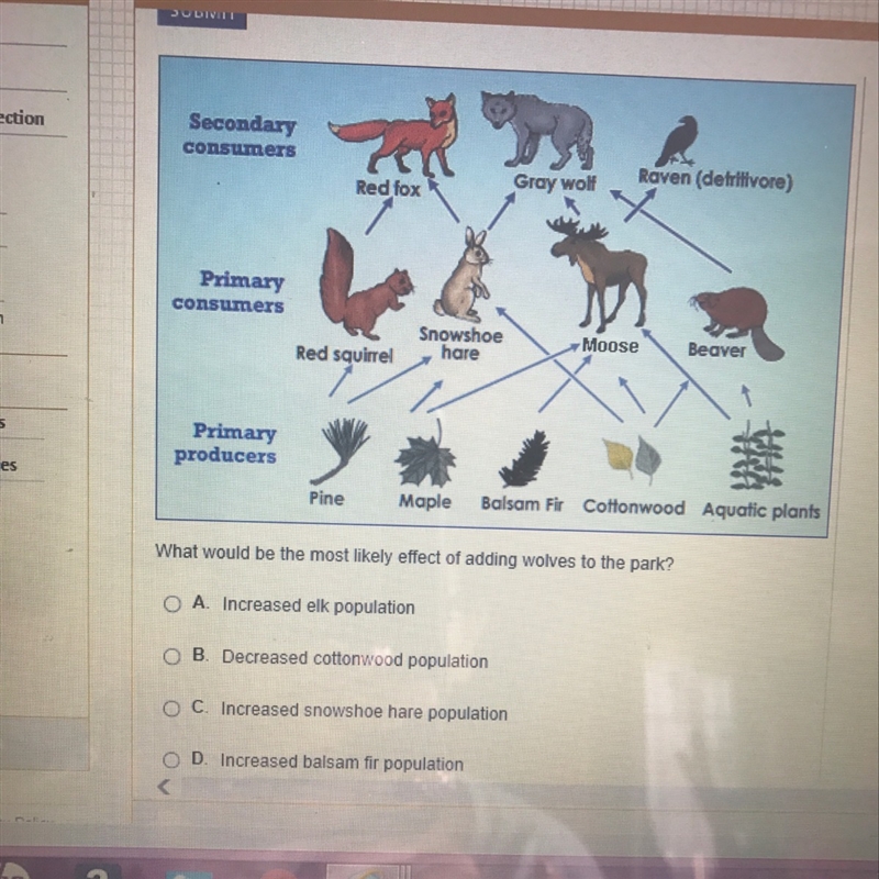 The Yellowstone National Park food web is shown below-example-1