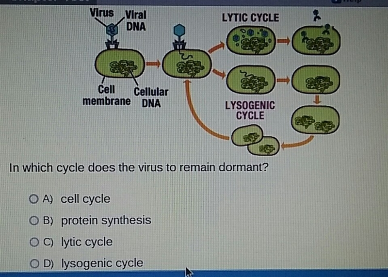 I'm confused can someone help me out?-example-1