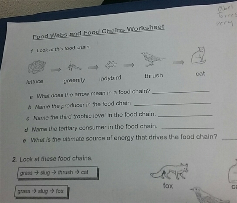 What does the arrow of the food chain mean-example-1