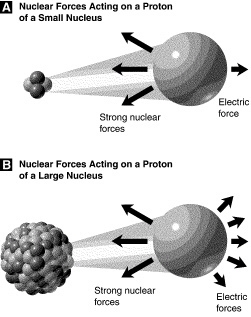 Study Figure 10-1. The strong nuclear force felt by a single proton in a large nucleus-example-1