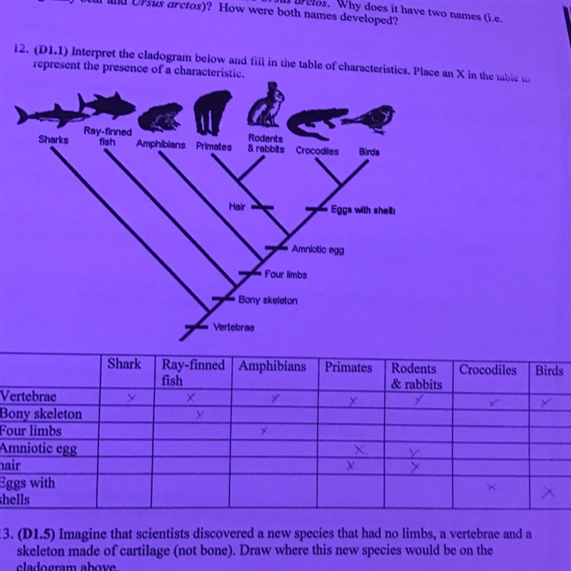 I need help on this question, i dont know what to fill it-example-1