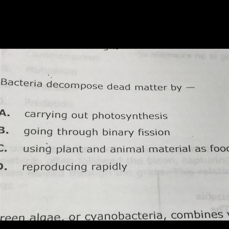 Bacteria decompose dead matter byb-example-1