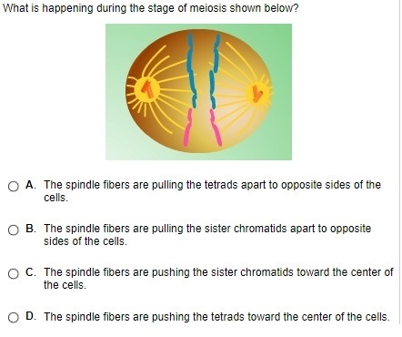 I have no clue.....hate biology tho :3-example-1