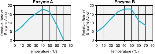 The graph below shows how two different enzymes react with a substrate as the temperature-example-1