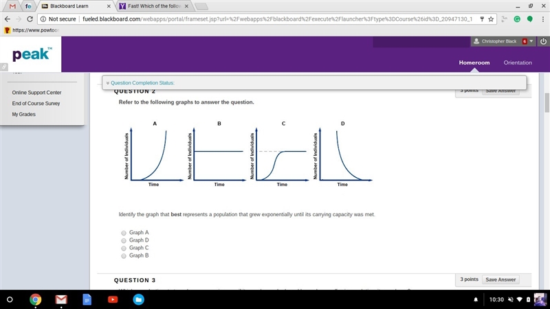 Help i dont understand please-example-1