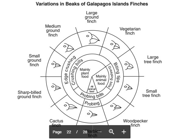 State two reasons why the large ground finch and sharp-billed ground finch could live-example-1