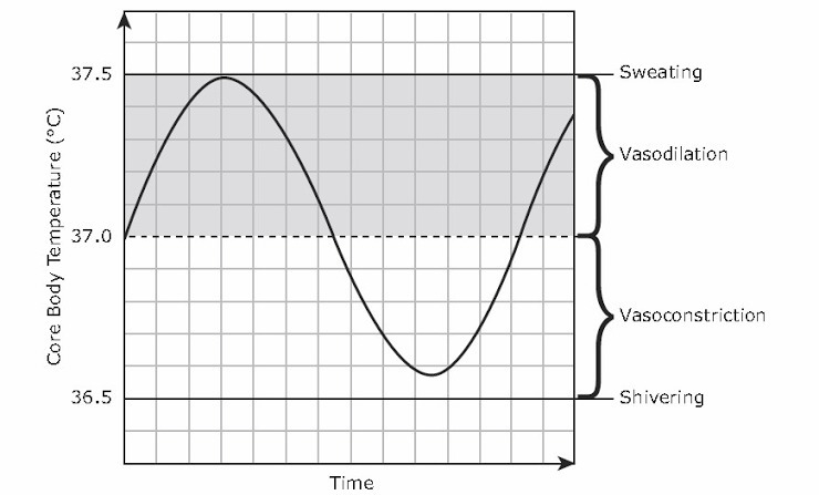 The graph models core body temperature during a rapid change in environmental conditions-example-1