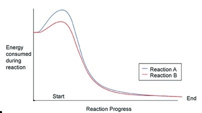 How does the activation energy differ between reactions A and B, which are both enzyme-example-1