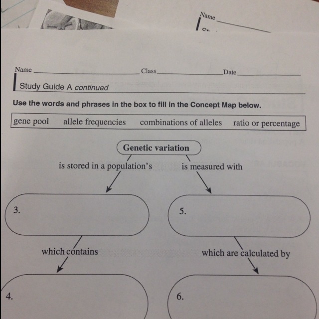 Genetic variation is stored in a populations...-example-1