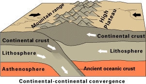 What type of plate action is shown in the diagram? continental-oceanic collision continent-example-1