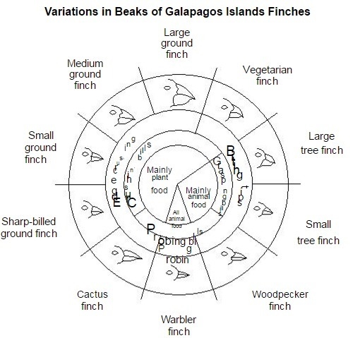 "Based on the information in the chart, which statement is correct? (1)Finches-example-1