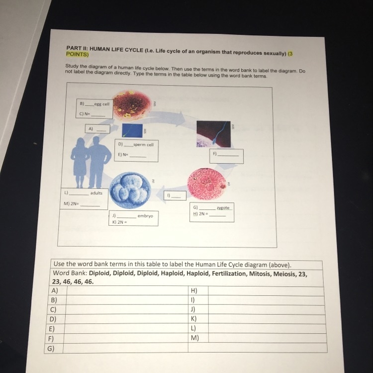 Need help with this!! Please-example-1