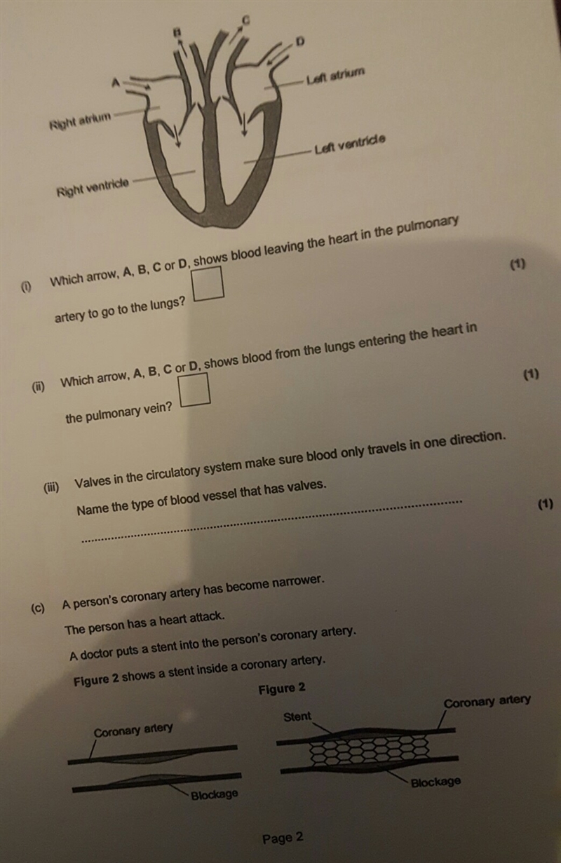 Biology sheet pls help-example-1