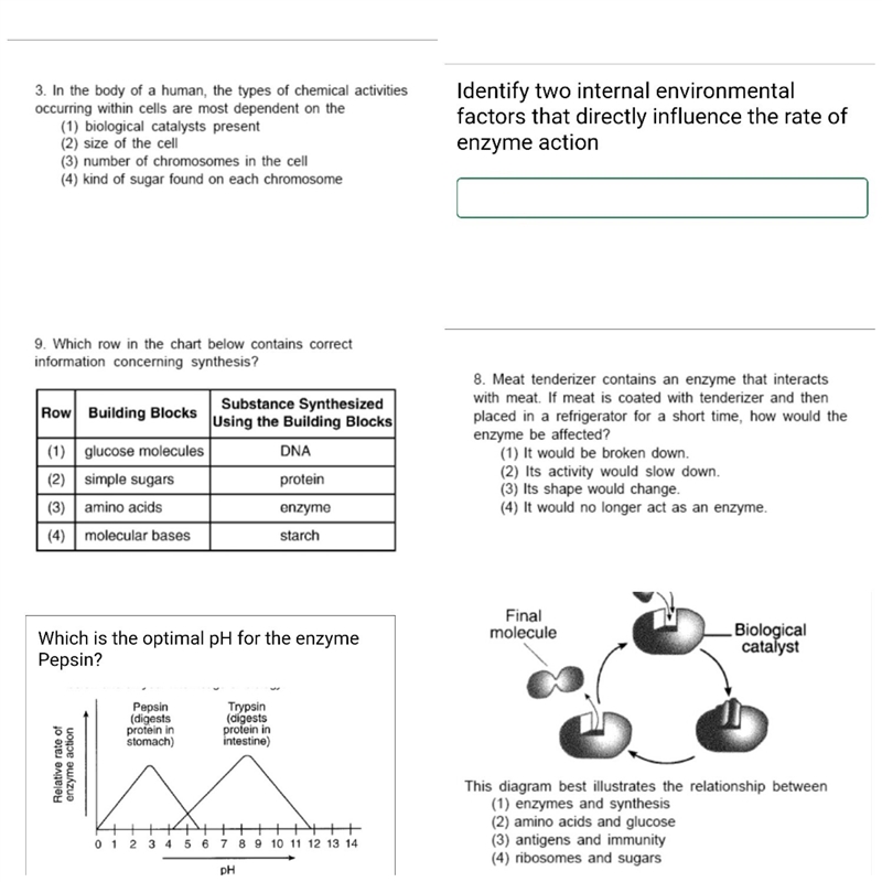 Please answer any questions-example-1