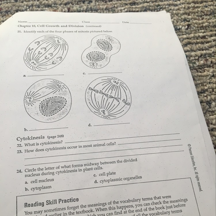 What is cytokinesis?-example-1