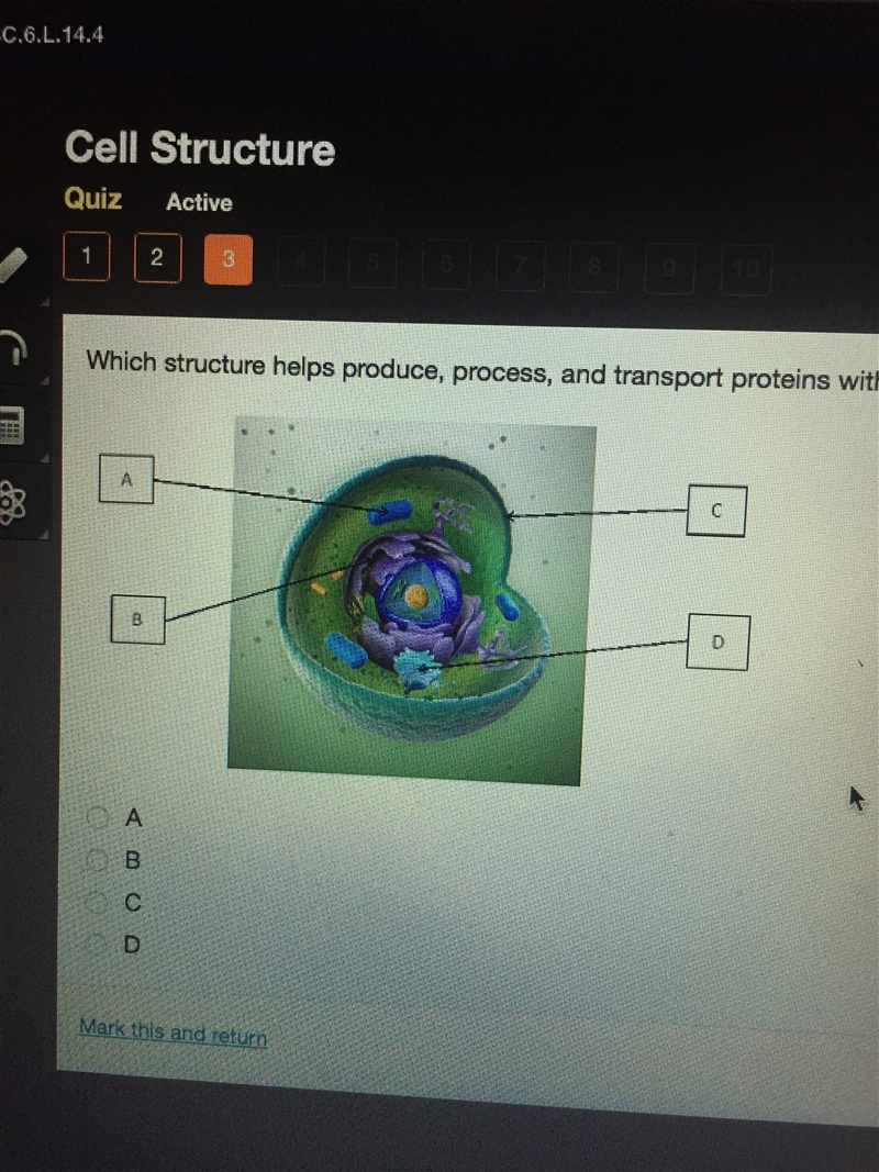 Which structure helps produce, process, and transport proteins within the cell?-example-1