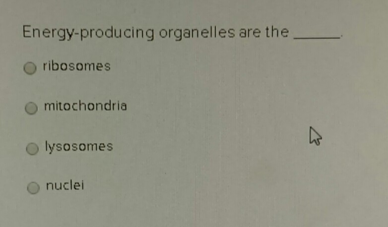 Energy-producing organelles are the O ribosomes O mitochondria O ysosomes nuclei-example-1