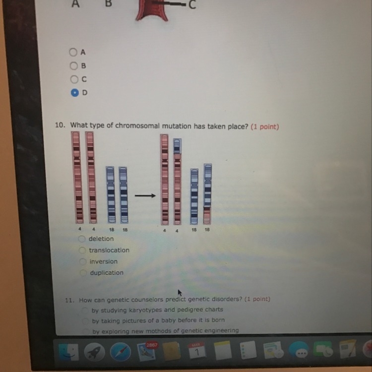 What type of chromosomal mutation has taken place?-example-1