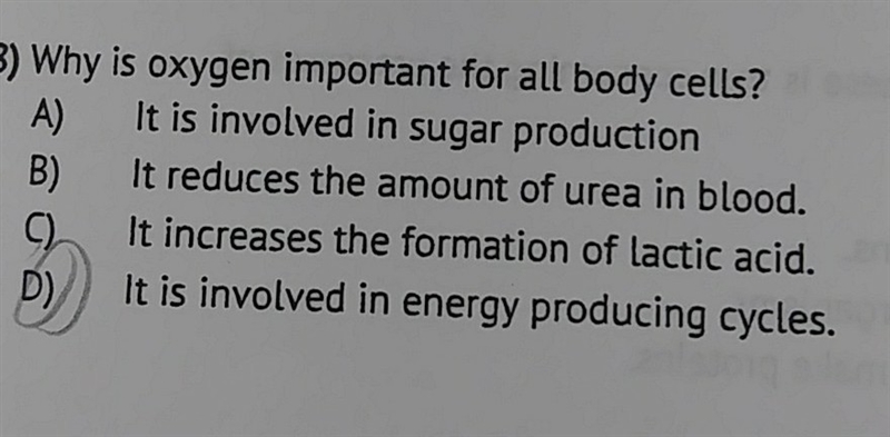 3 Why is oxygen important for all body cells? It is involved in sugar production It-example-1