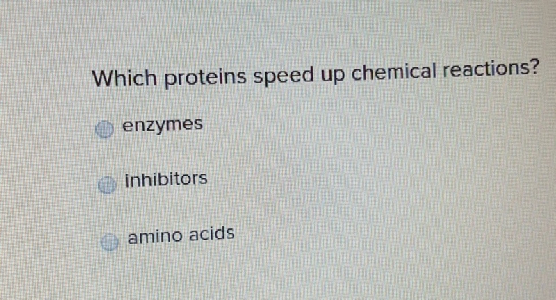 Which proteins speed up chemical reactions? enzymes inhibitors amino acids-example-1