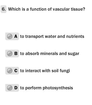 Please help with a biology question!!! Thanks!!-example-1