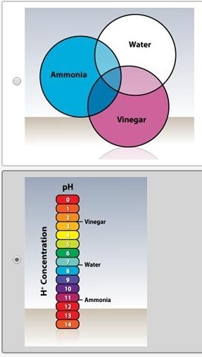 Which of the following best represents the relationship of the concentration of hydrogen-example-1