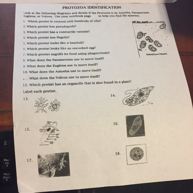 Help me please, I hate science-example-1