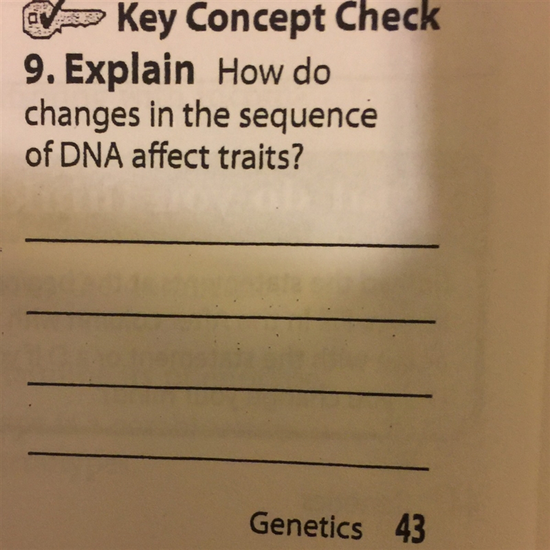 How do changes in the sequence of DNA affect traits?-example-1