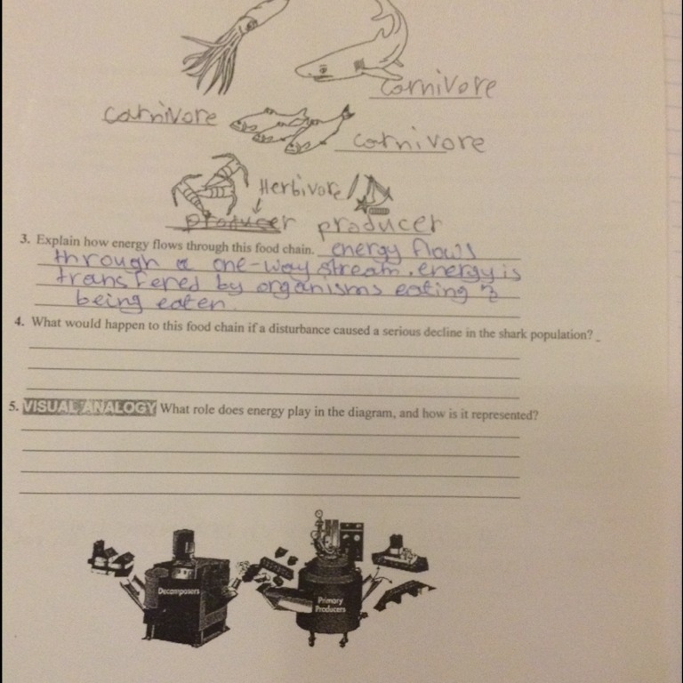 what would happen to this food chain if a disturbance caused a serious decline in-example-1