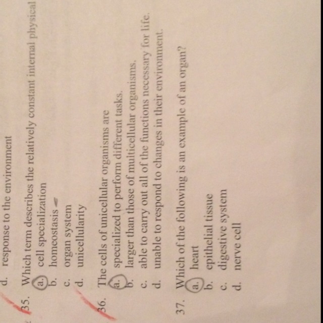 I need the correct answer for 36 my teacher is making us do error analysis-example-1