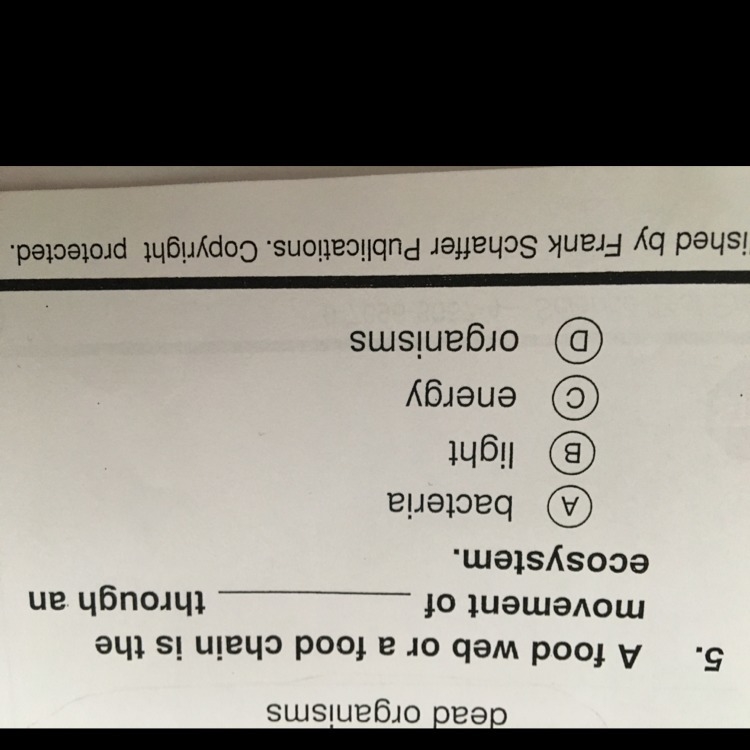 A) Bacteria B) Light C) energy D) organisms-example-1