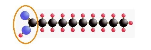 The diagram shows the general structure of a lipid, which consists of two main parts-example-1