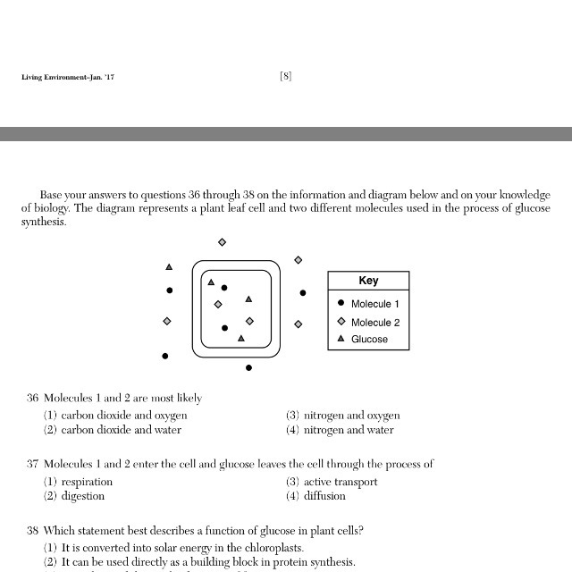 What is the answer for 36 and 37 and explain !!-example-1