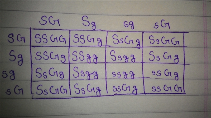 NEED HELP! EXTRA POINTS!!! Complete the Punnett square for the cross between two plants-example-1