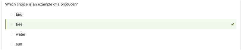 Which choice is an example of a producer? A) Sun B) Tree C) Bird D) Water-example-1