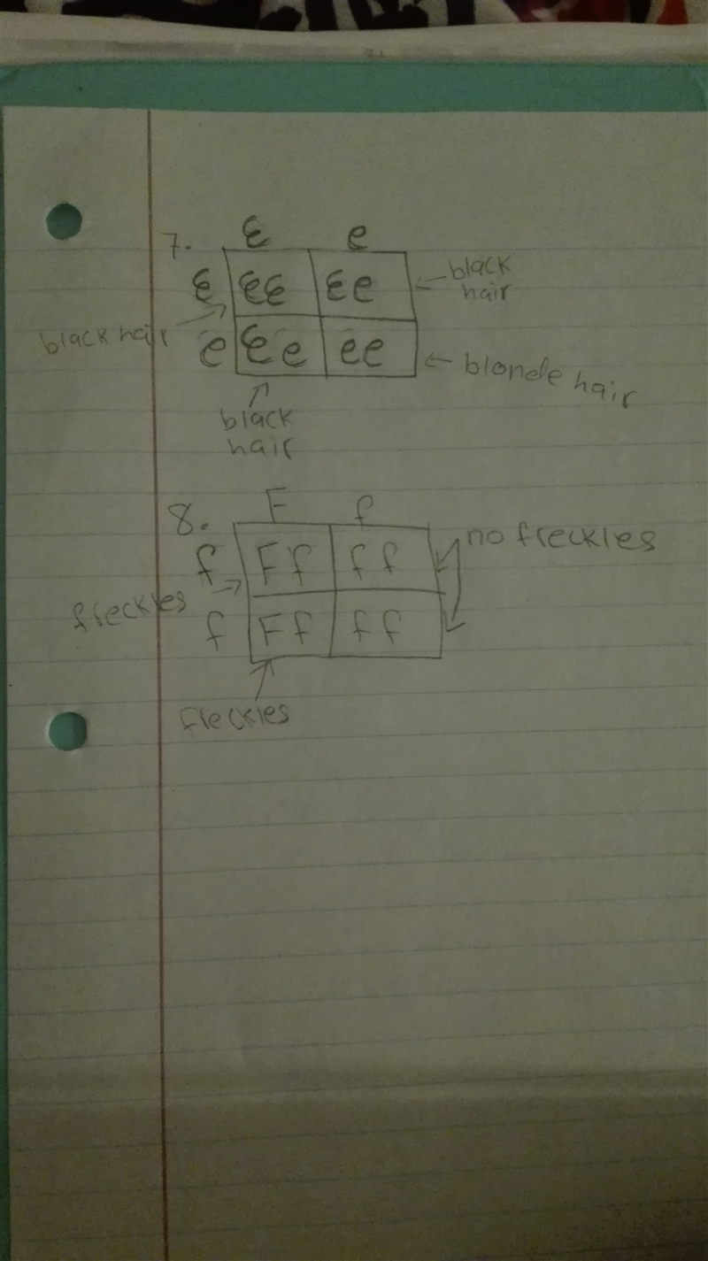 Can someone help with 7 and 8 ,9 and 10 plz-example-1