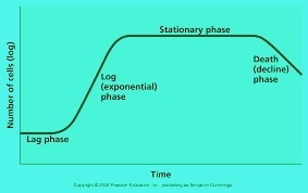 The growth rate of a population that has a limited food supply will MOST LIKELY be-example-1